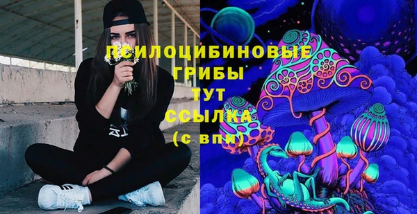 мет Осинники